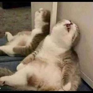 Meet your Posher, Markus